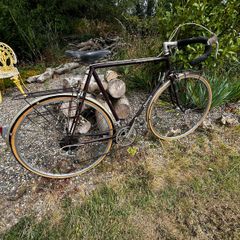 Dawes Super Galaxy Bike