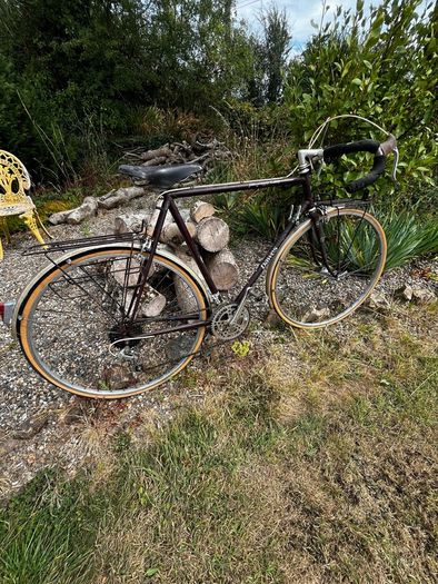 Dawes Super Galaxy Bike
