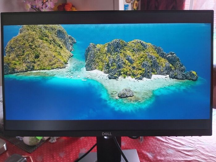 HP 22" Monitor
