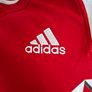 2013 Lions Jersey Image 4