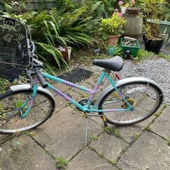 Raleigh Camaro retro mountain bike with detachable basket