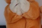 New collectable HOPE large Beanie bear