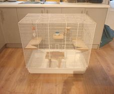 Animal cage