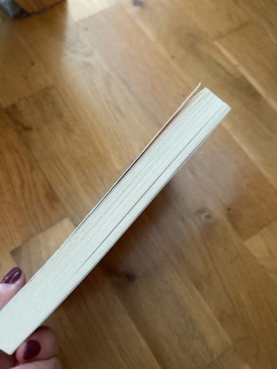 Michael Lewis Boomerang Book