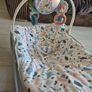 Fisher Price Baby Bouncer Image 2