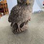 2 Owl Figurine Image 9