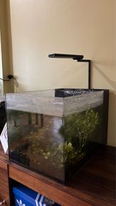 Waterbox 57L Fish Tank