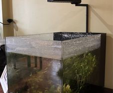 Waterbox 57L Fish Tank