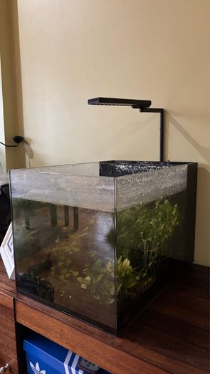 Waterbox 57L Fish Tank
