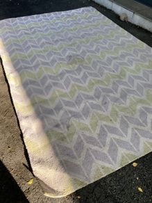 Rug
