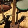 Rockband Drumset and Accessories Ps3 Image 2