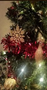 Christmas Tree and decorations