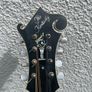Kentucky KM 1000 Master Model Mandolin Image 4