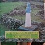 The Grand Irish Tour. Signed Copy By Peter Somerville-large. With Photographs By Mark Fiennes. Large Volume Hardback In Very Good Condition. Image 2