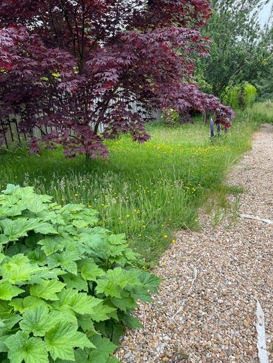 Grass Cutting & Garden Maintenance