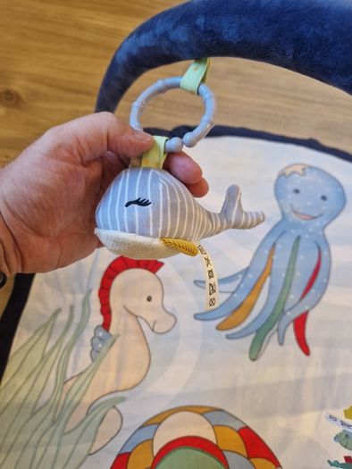 Lupilu Baby Gym Activity Mat