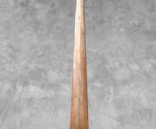 Swordfish tusk.