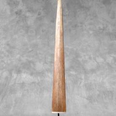 Swordfish tusk.