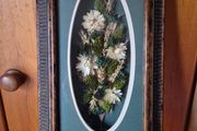 Vintage Irish Meadow and Oats Display