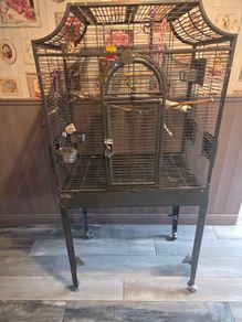 bird cage