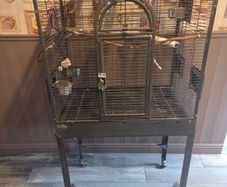 bird cage