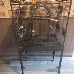 bird cage