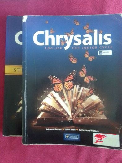 Chrysalis Junior Cycle English and exam paper