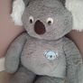 XL Koala Bear Plush Image 2