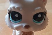 LPS - Littlest Pet Shop - "Wolf" - See Pictures - E