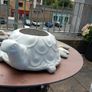 Plant Pots Image 2