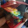 Hamster cage Image 3