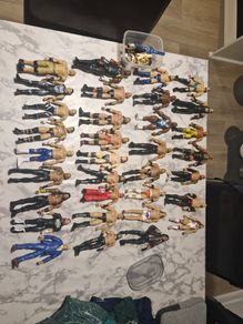 wrestlers