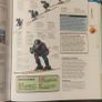 Sport Book Image 8