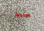 carpet 7ft x 13ft