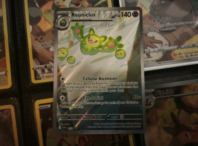 Reuniclus ! Scarlet & Violet Promo ! 2025 ! Pokemon Card !