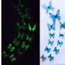Butterflies Image 6