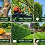 tree surgeon Image 3