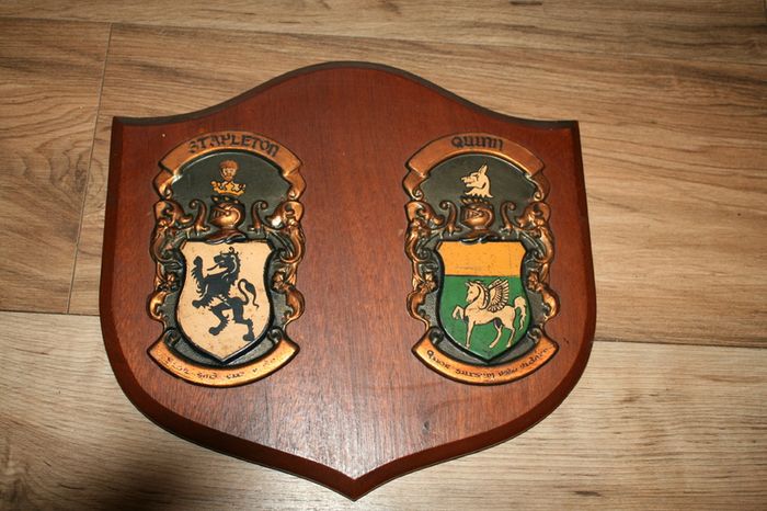 2 Personalized Double Irish Coat of Arms Knight Shield Plaque