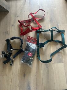Equestrian