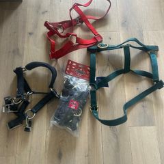 Equestrian