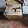 dog house Image 4