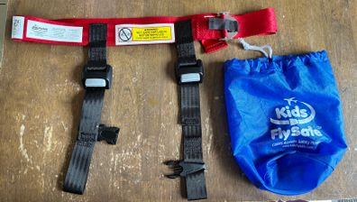 Cares fly safe harness