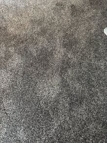 Carpet for sale