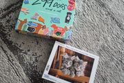 puzzles