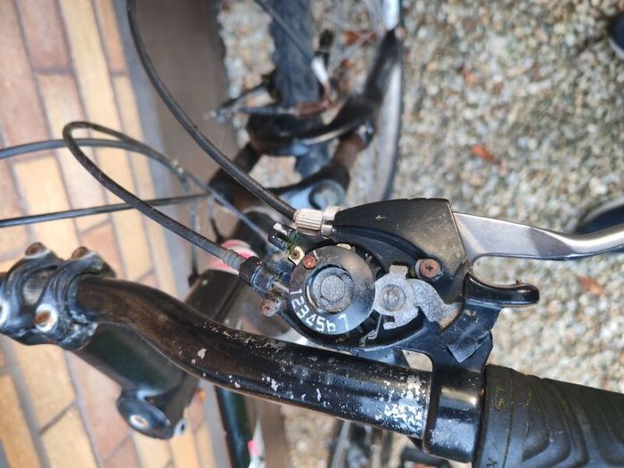 Adult Mountain bike