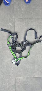 Harness