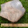 210 Million Year Old Understood WOOD Fossil from Triassic Arizona 2,335gr Image 2