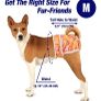 dog nappies washable and reusable Image 6