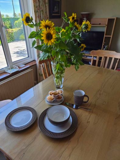 Denby  Mocha 16 piece dinner set