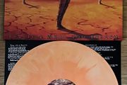 Testament Practice What You Preach vinyl